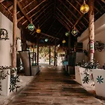 Hotel Paradise Suites