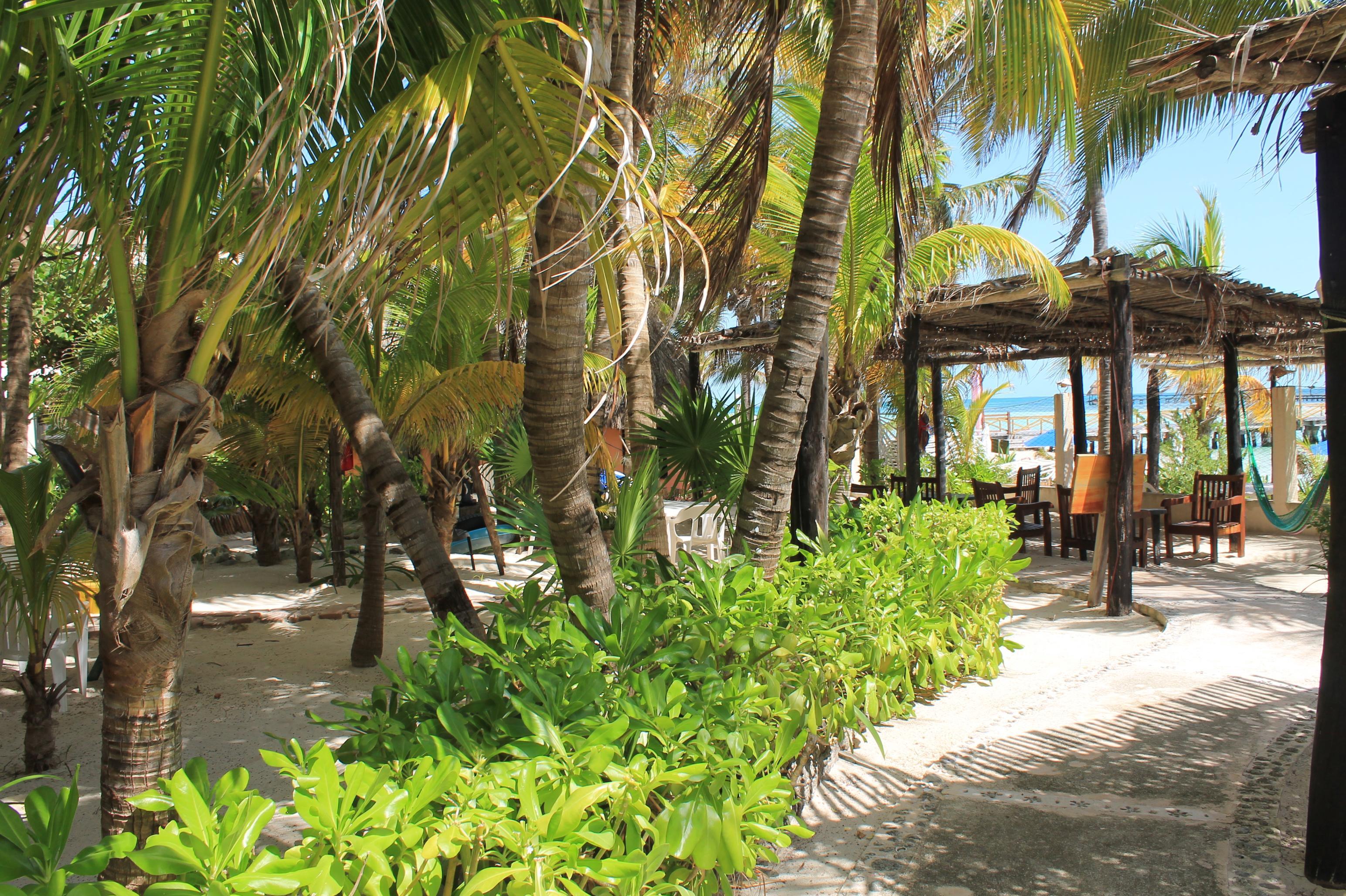 Hotel Kiin 3*