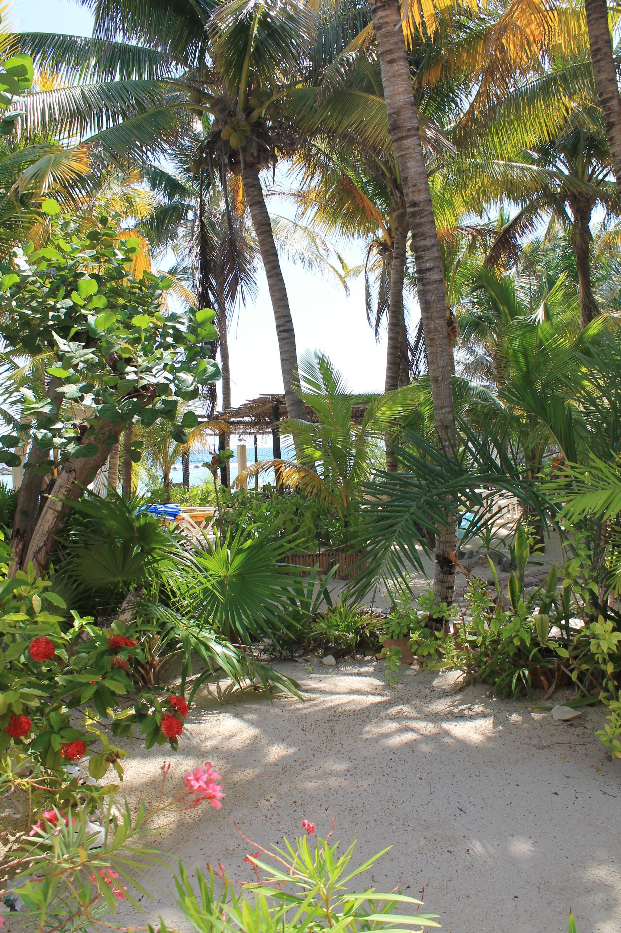 Kiin Hotel 3*