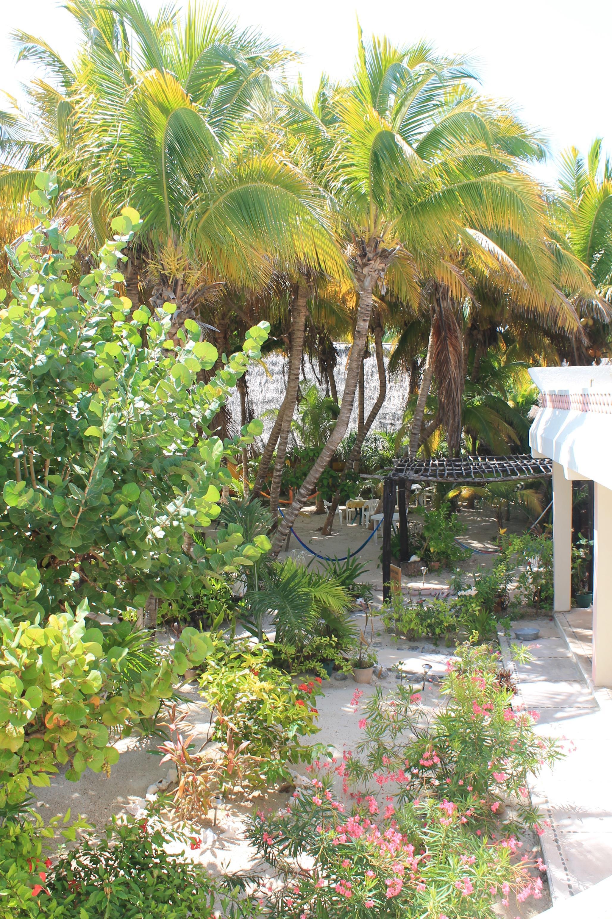 Hotel Kiin 3*