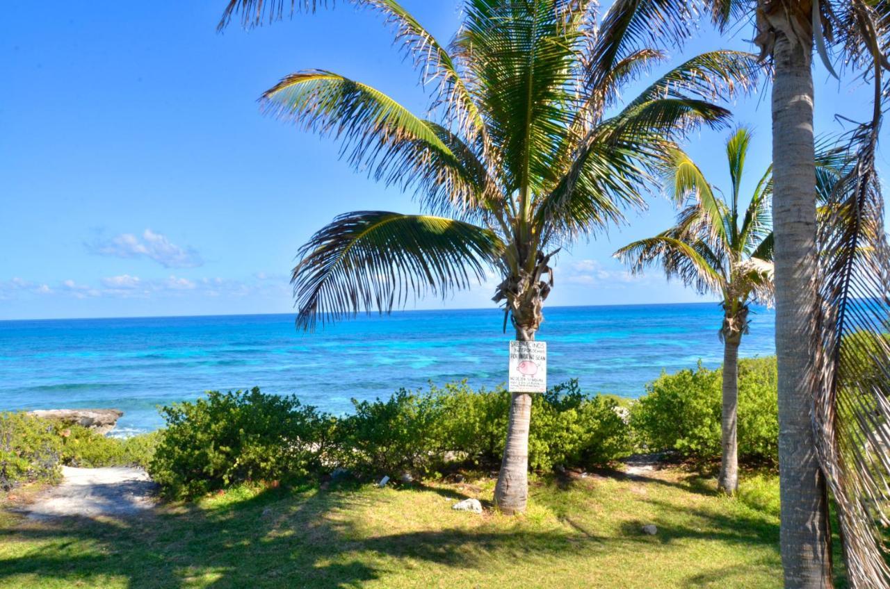 Apartment Ar Ocean View