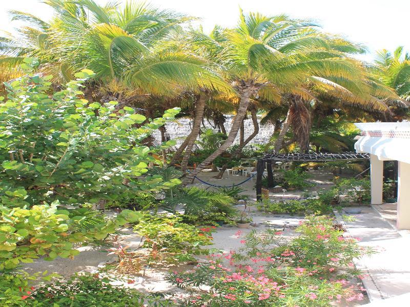 Hotel Kiin 3*