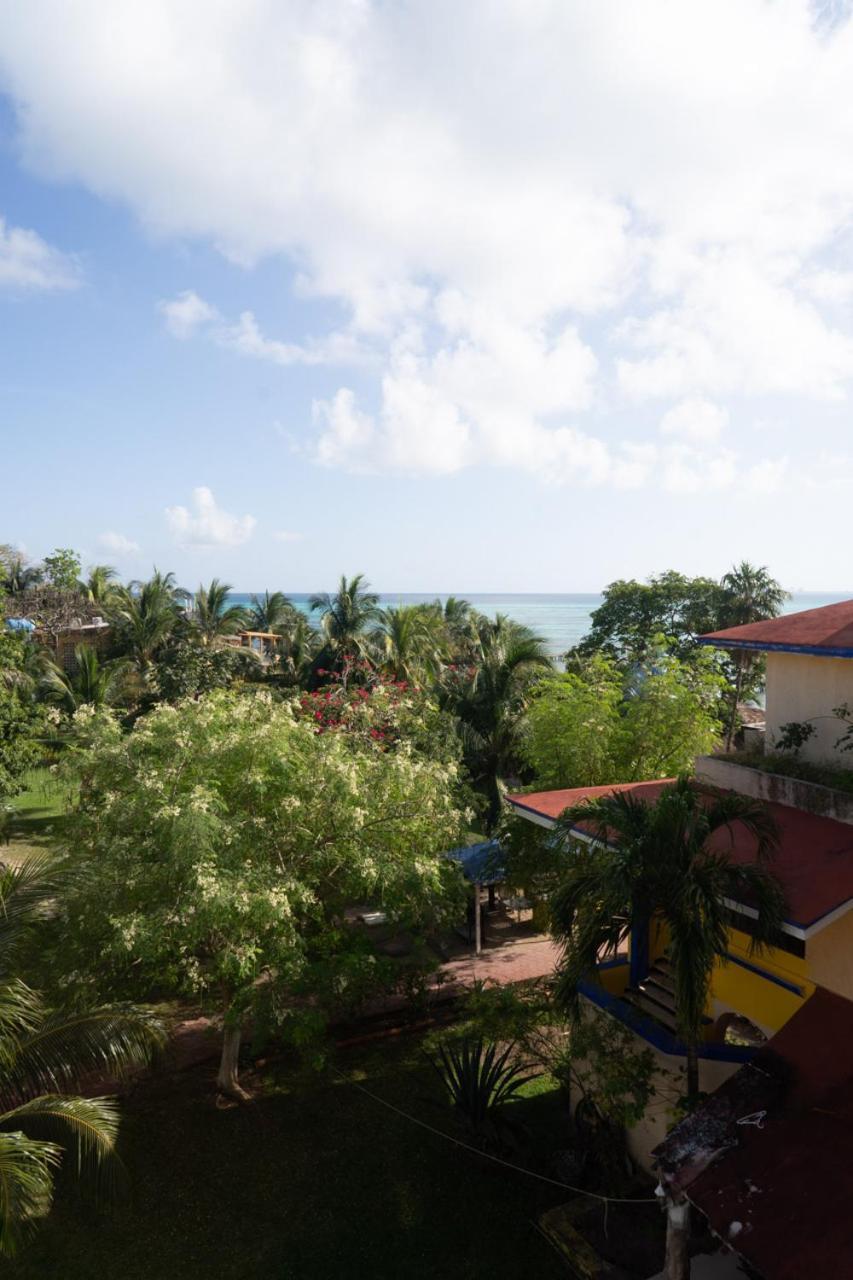 Casa Bonita And Apartment