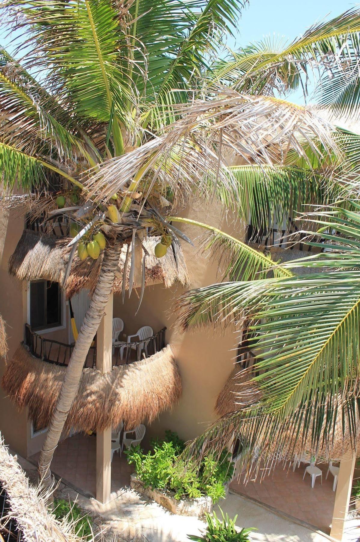 Hotel Playa La Media Luna 4*