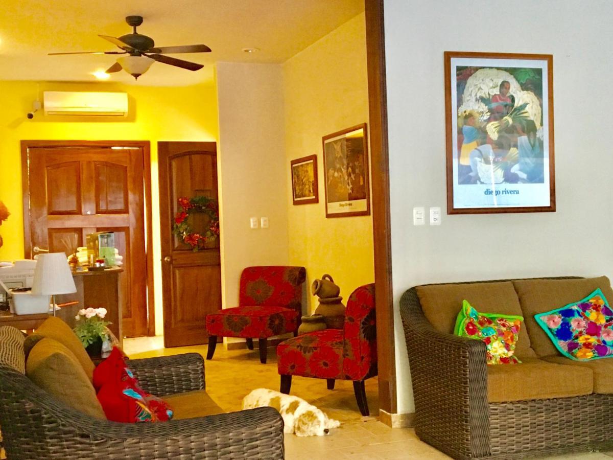 Casa Paloma Blanca Hostel