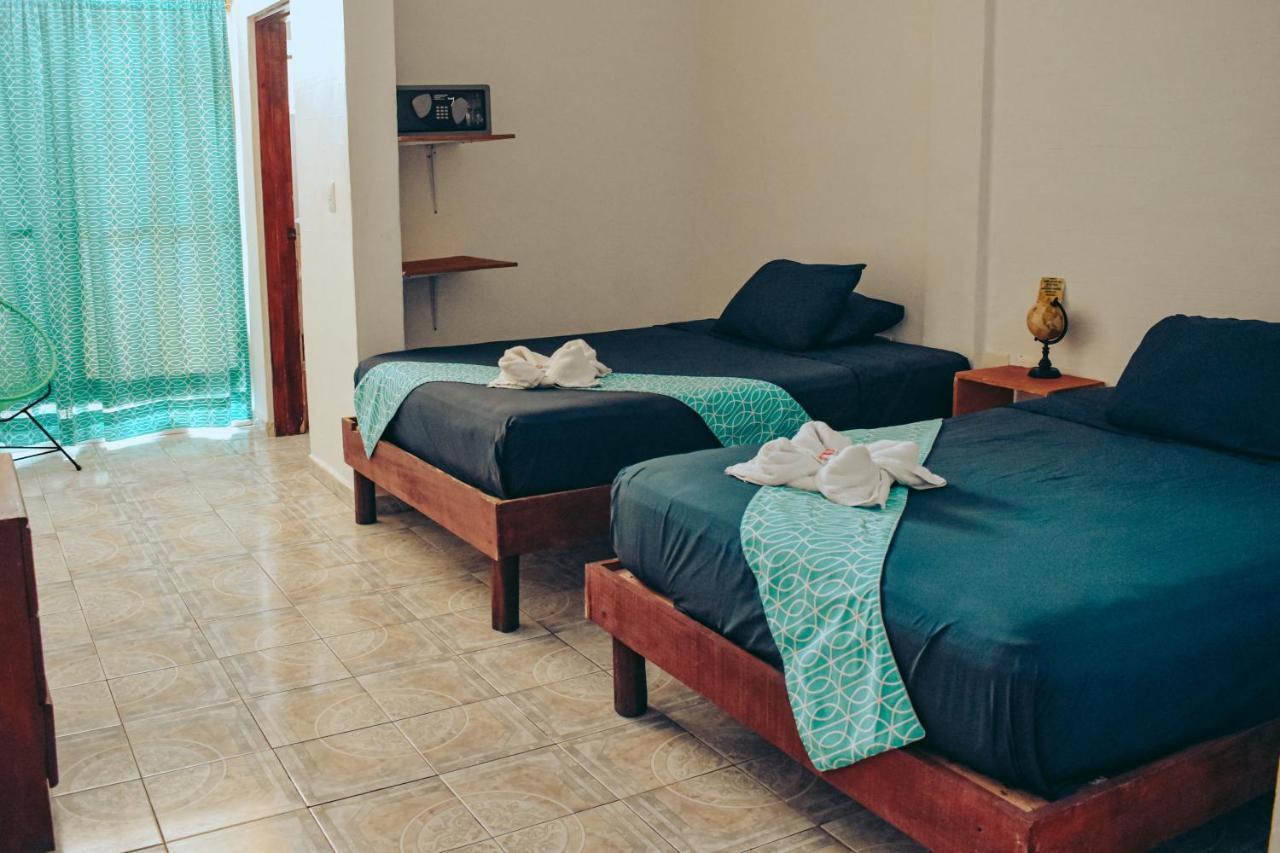 Hostel Les Trois Singes - Friendly Hostel *