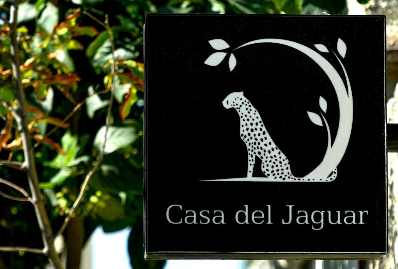 Hotel Casa Del Jaguar