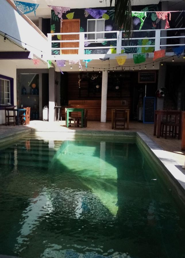 Hostel Les Trois Singes - Friendly Hostel *