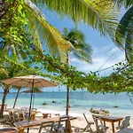 Mayan Monkey Isla Mujeres - Social Hotel (Adults Only)