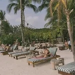 Mayan Monkey Isla Mujeres - Social Hotel (Adults Only)