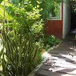Elements Of The Island