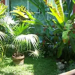 Elements Of The Island