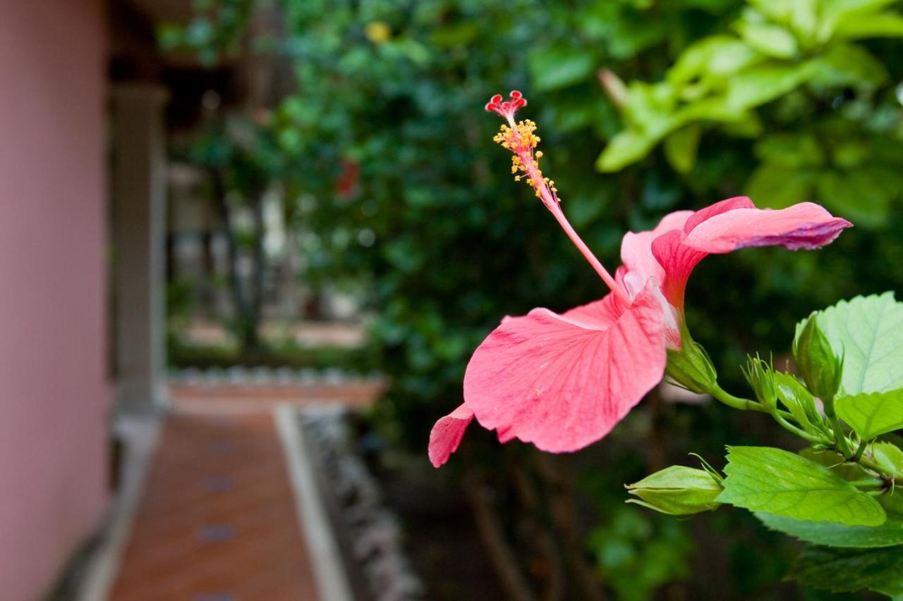 Hotel Maria Del Mar Isla Mujeres