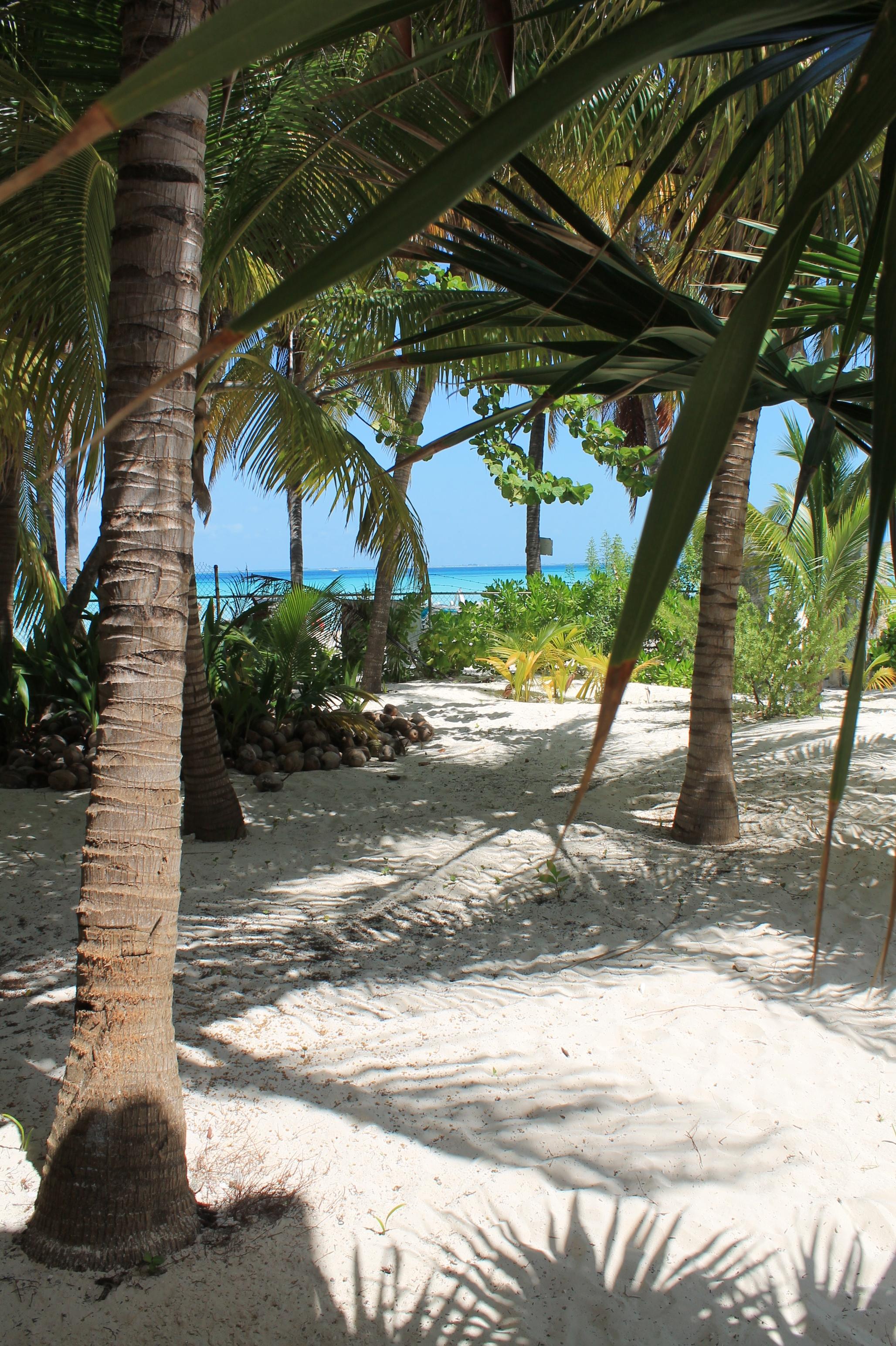 Hotel Maria Del Mar Isla Mujeres