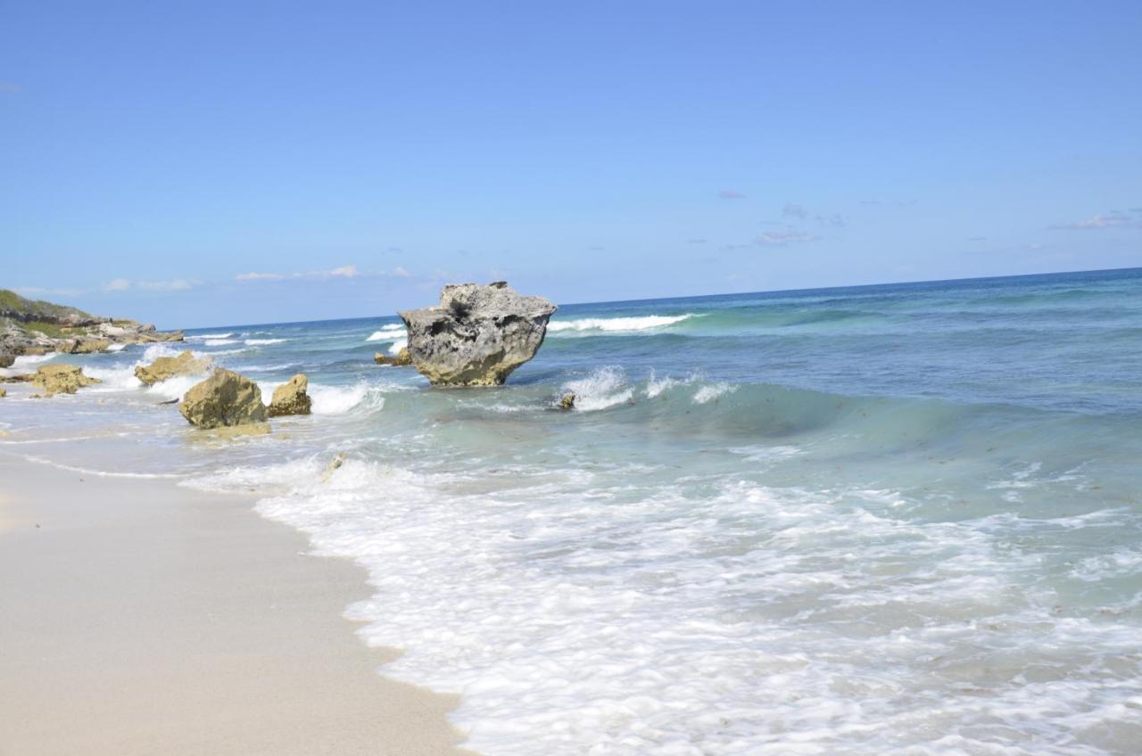 Ar Ocean View * Isla Mujeres