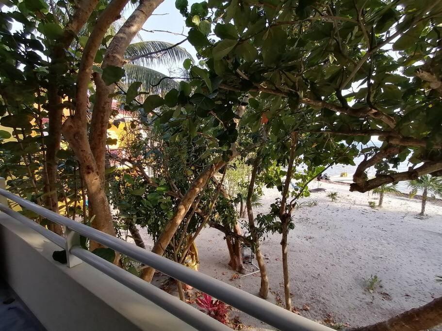 Marysol Beachfront Next To Nomads D4