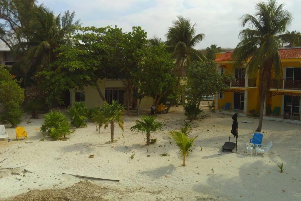 Apartment Marysol Beachfront Next To Nomads D4 Isla Mujeres