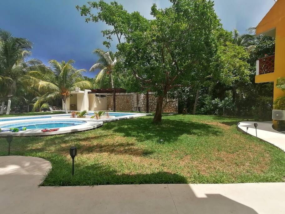 Marysol Beachfront Next To Nomads D4 Apartment Isla Mujeres