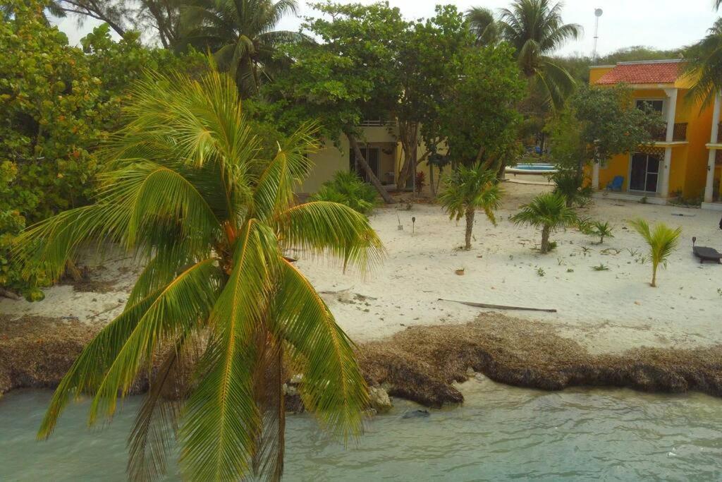 Apartment Marysol Beachfront Next To Nomads D4 *