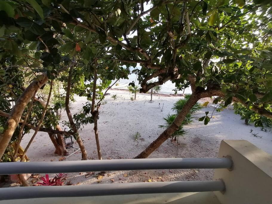 Marysol Beachfront Next To Nomads D4 Apartment *