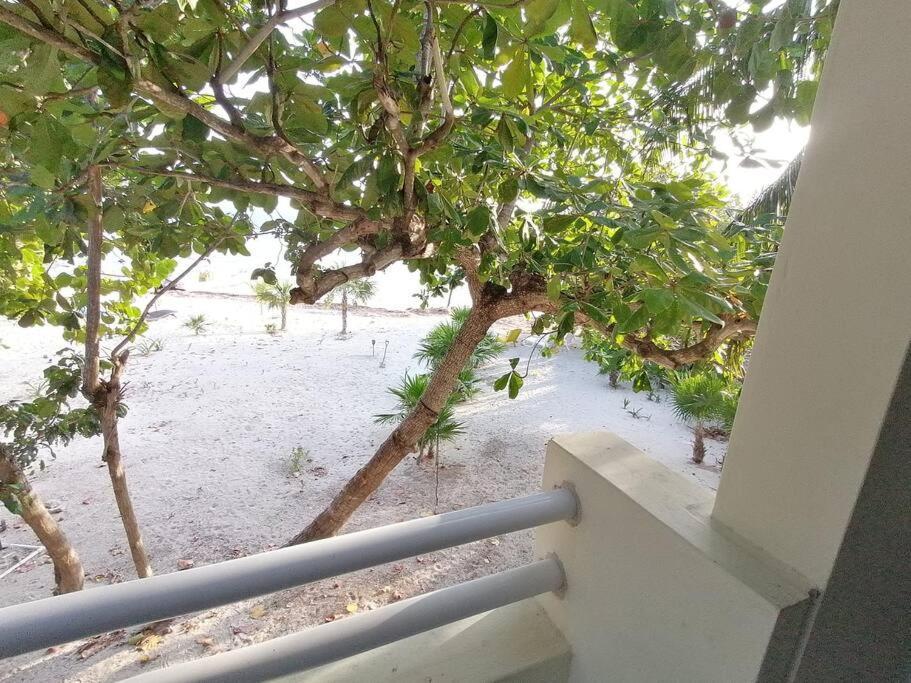 Marysol Beachfront Next To Nomads D4 * Isla Mujeres