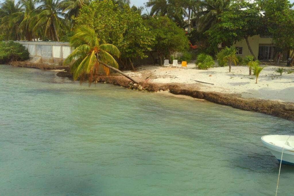 Apartment Marysol Beachfront Next To Nomads D4