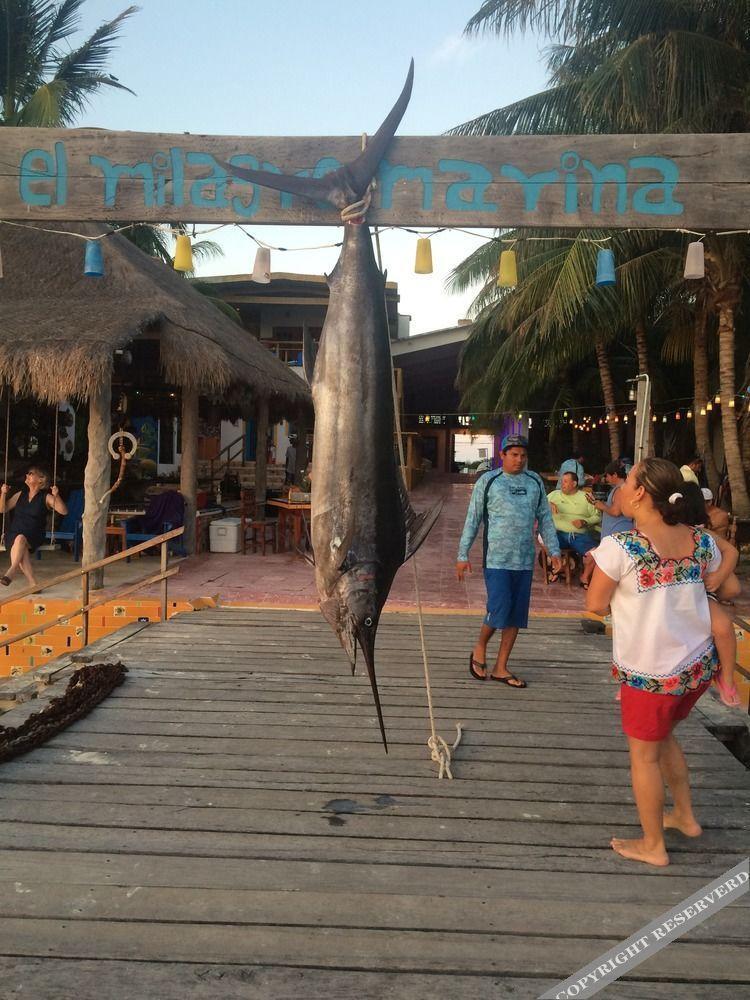 El Milagro Beach And Marina