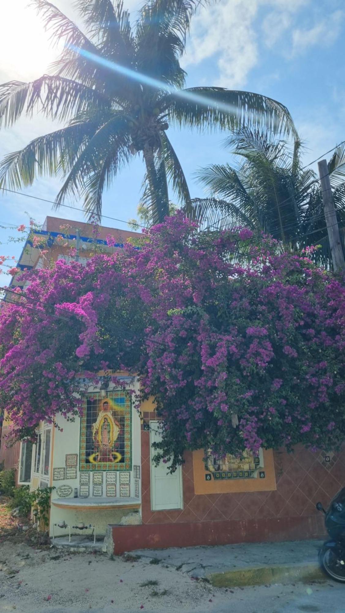 Doctor's Island Sunrise Apartment Isla Mujeres