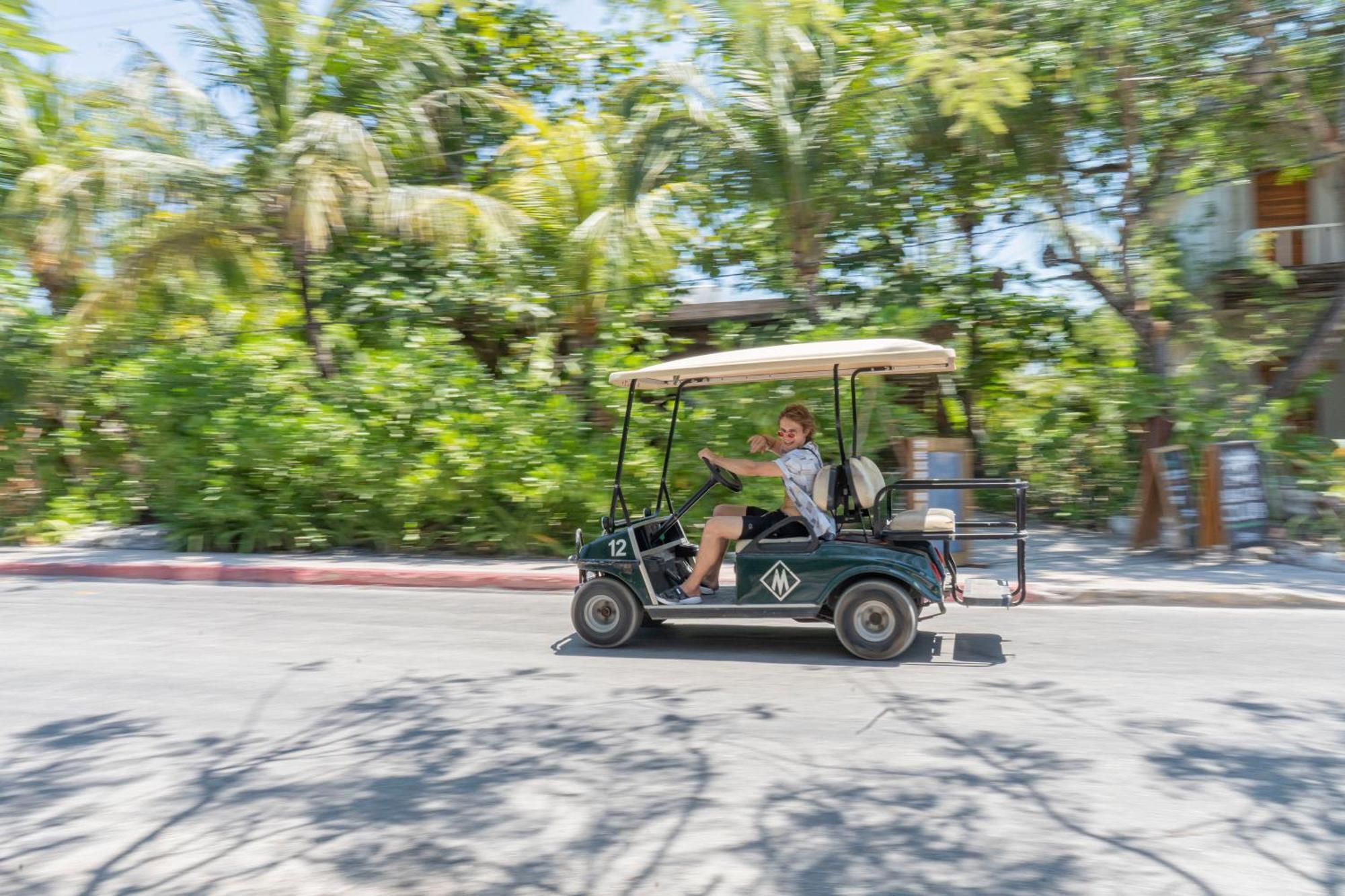 Hotel Mayan Monkey - Social (adults Only)