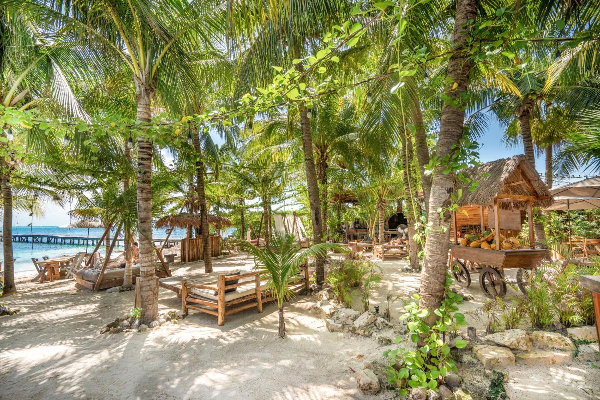 Hotel Mayan Monkey - Social (adults Only) Isla Mujeres