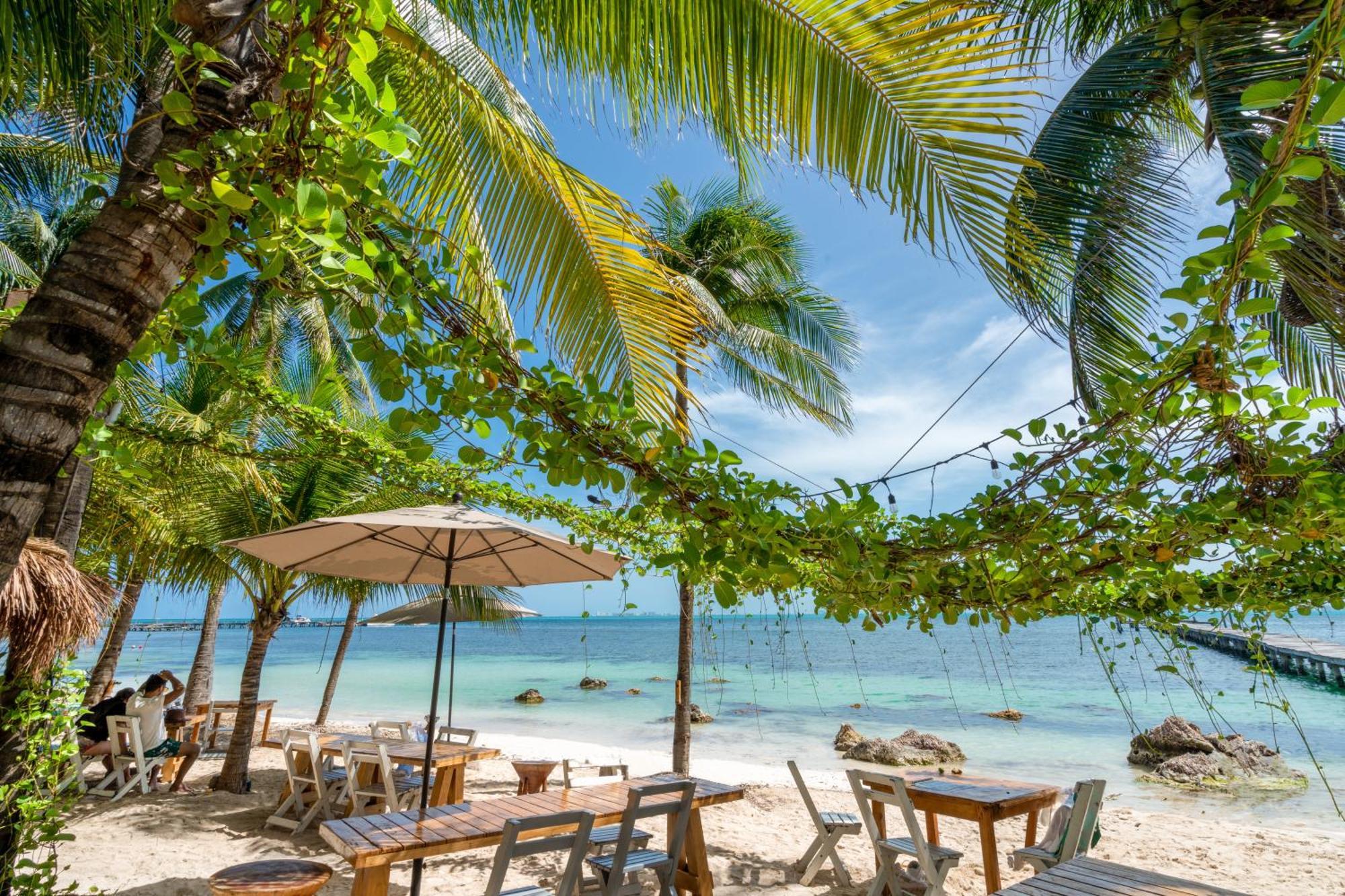 Mayan Monkey - Social (adults Only) Isla Mujeres