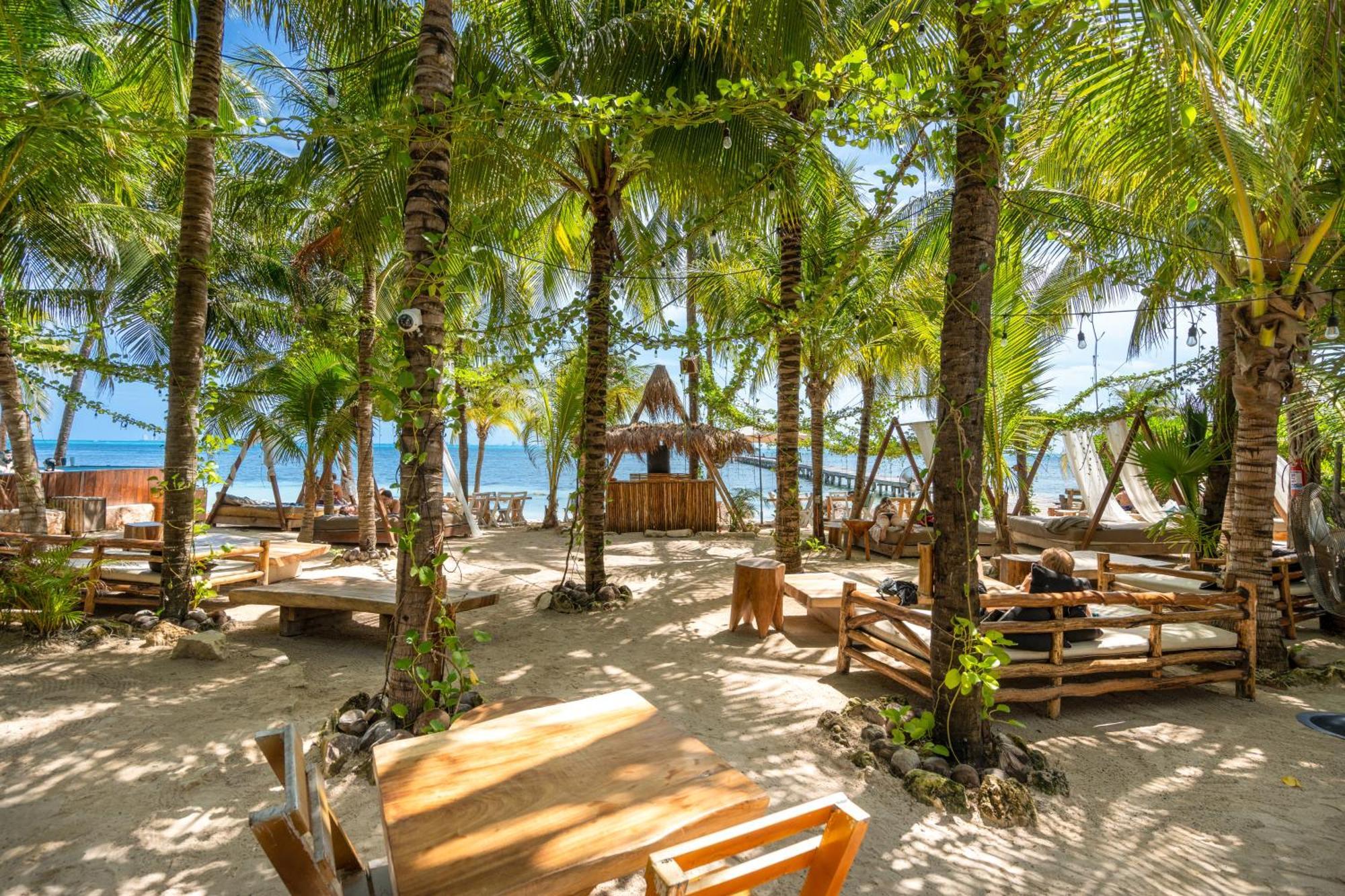 Mayan Monkey - Social (adults Only) Hotel