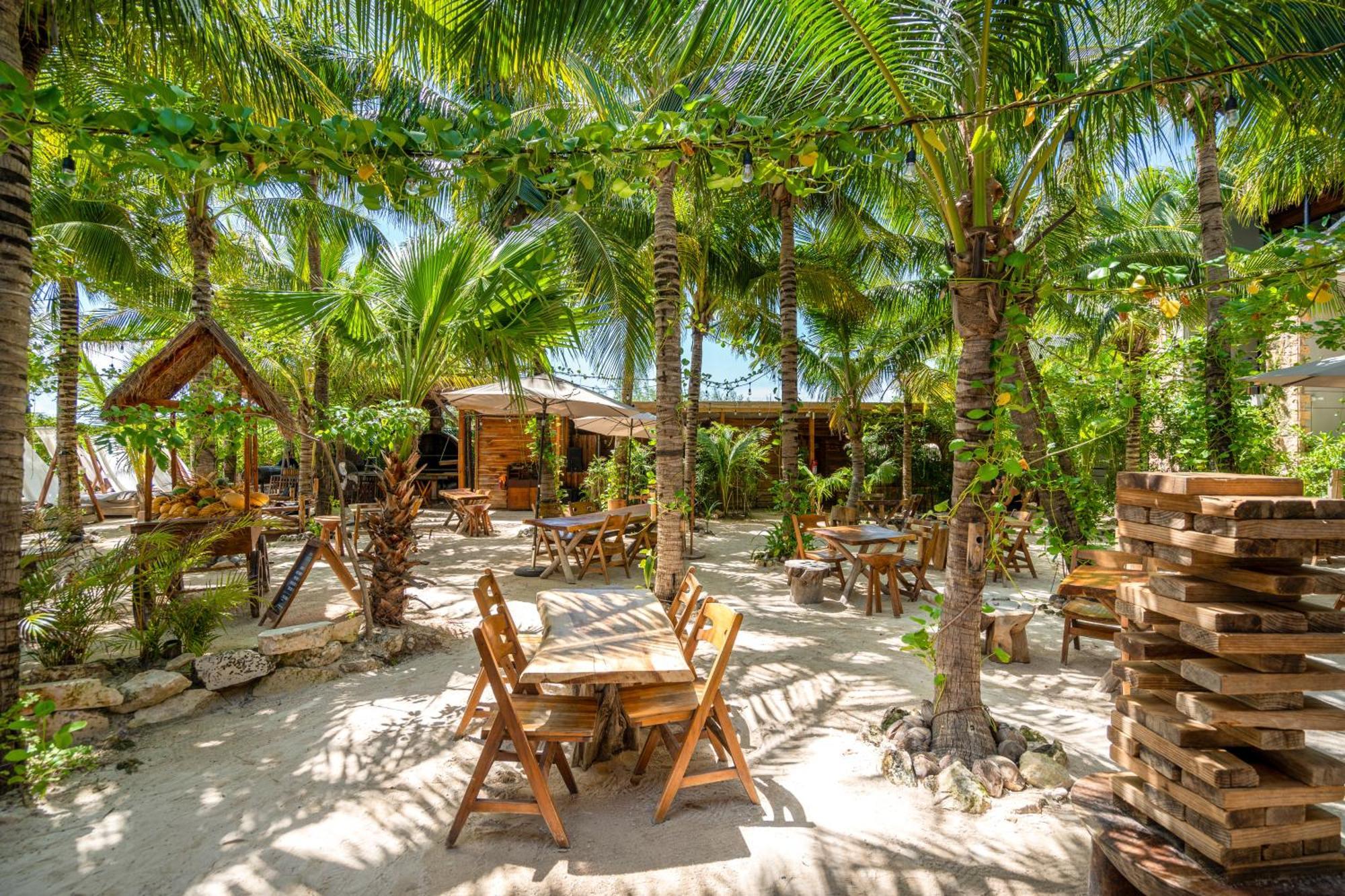 Hotel Mayan Monkey - Social (adults Only)
