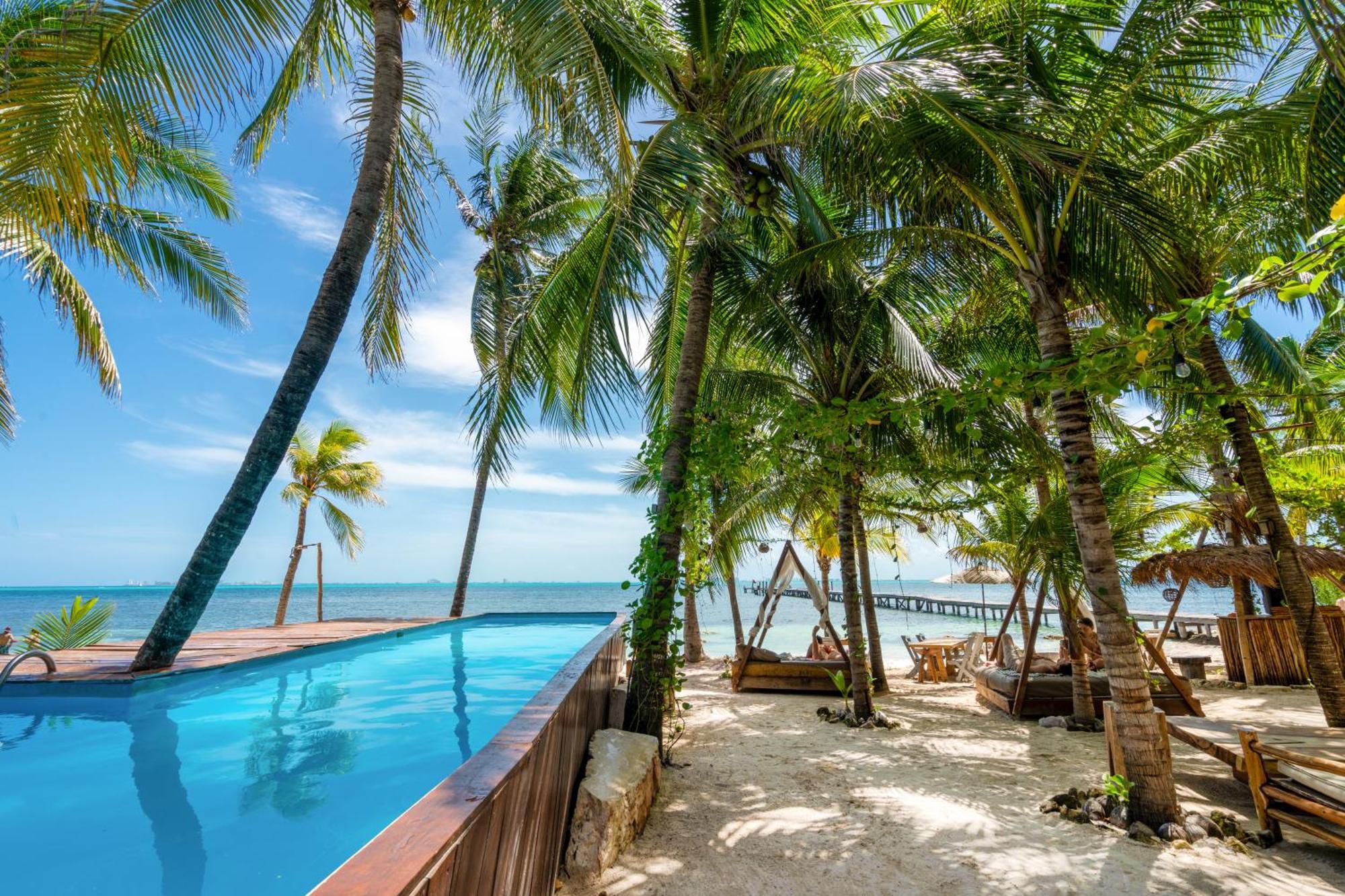 Mayan Monkey - Social (adults Only) 4*