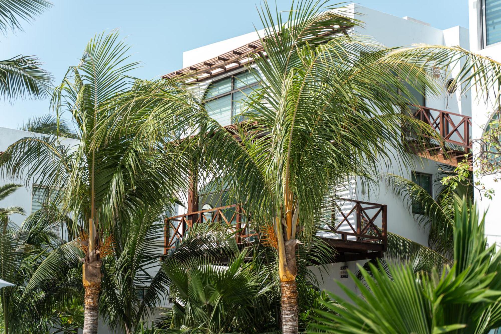 Amanecer By Andiani Travel Villa Isla Mujeres