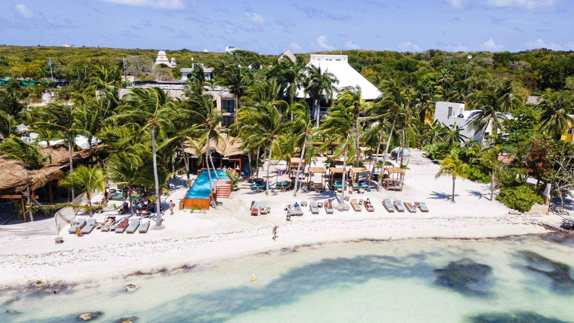 Mayan Monkey - Social (adults Only) 4* Isla Mujeres