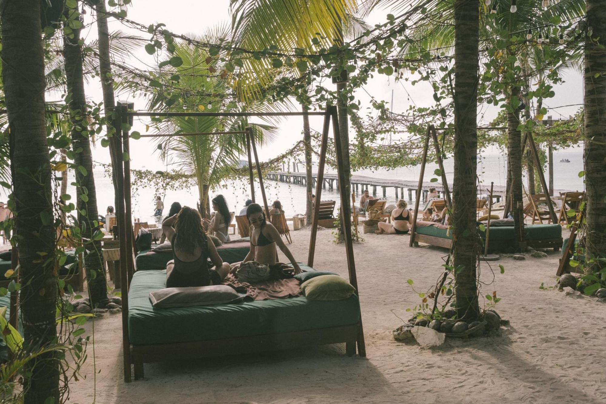 Hotel Mayan Monkey - Social (adults Only)
