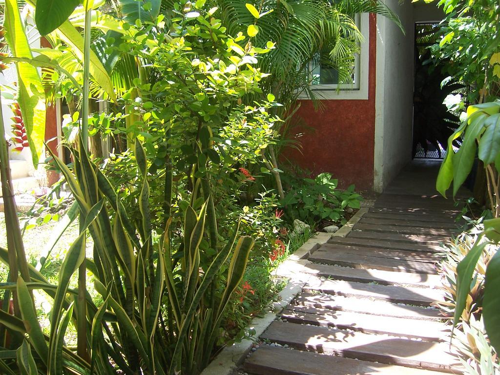 Elements Of The Island * Isla Mujeres