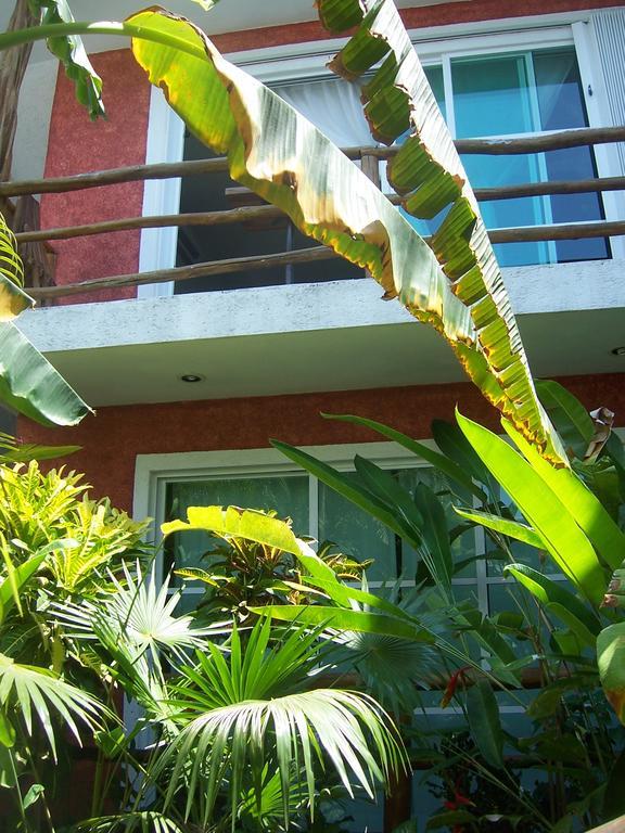 Elements Of The Island Apartment *