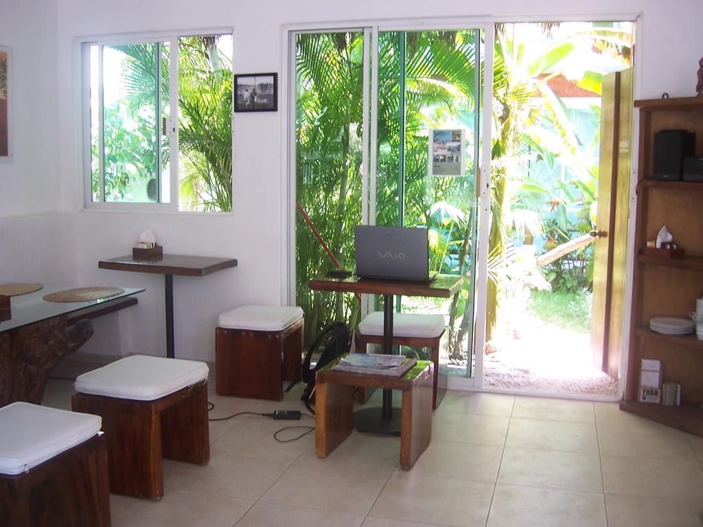 Apartment Elements Of The Island Isla Mujeres