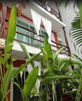 Apartment Elements Of The Island *
