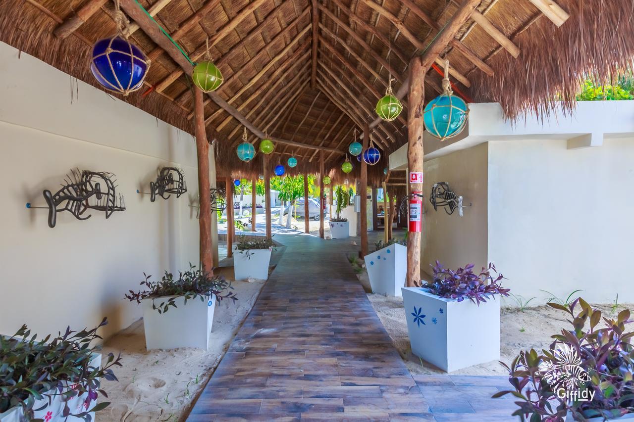 Paradise Hotel 4*
