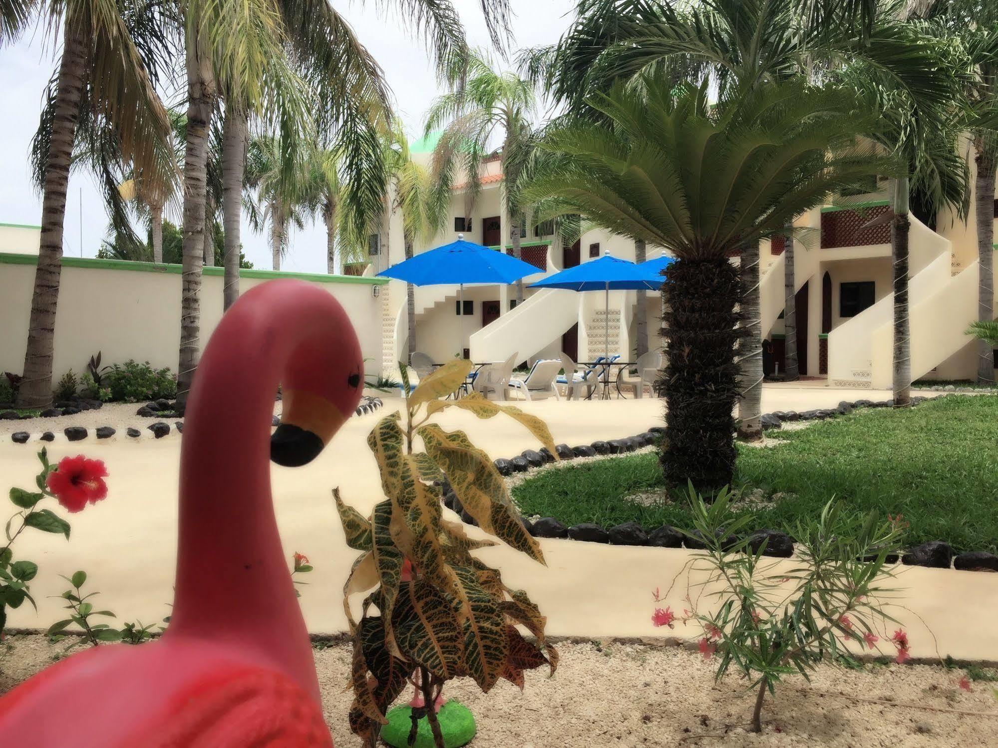 Hotel Coco - (adults Only) Isla Mujeres