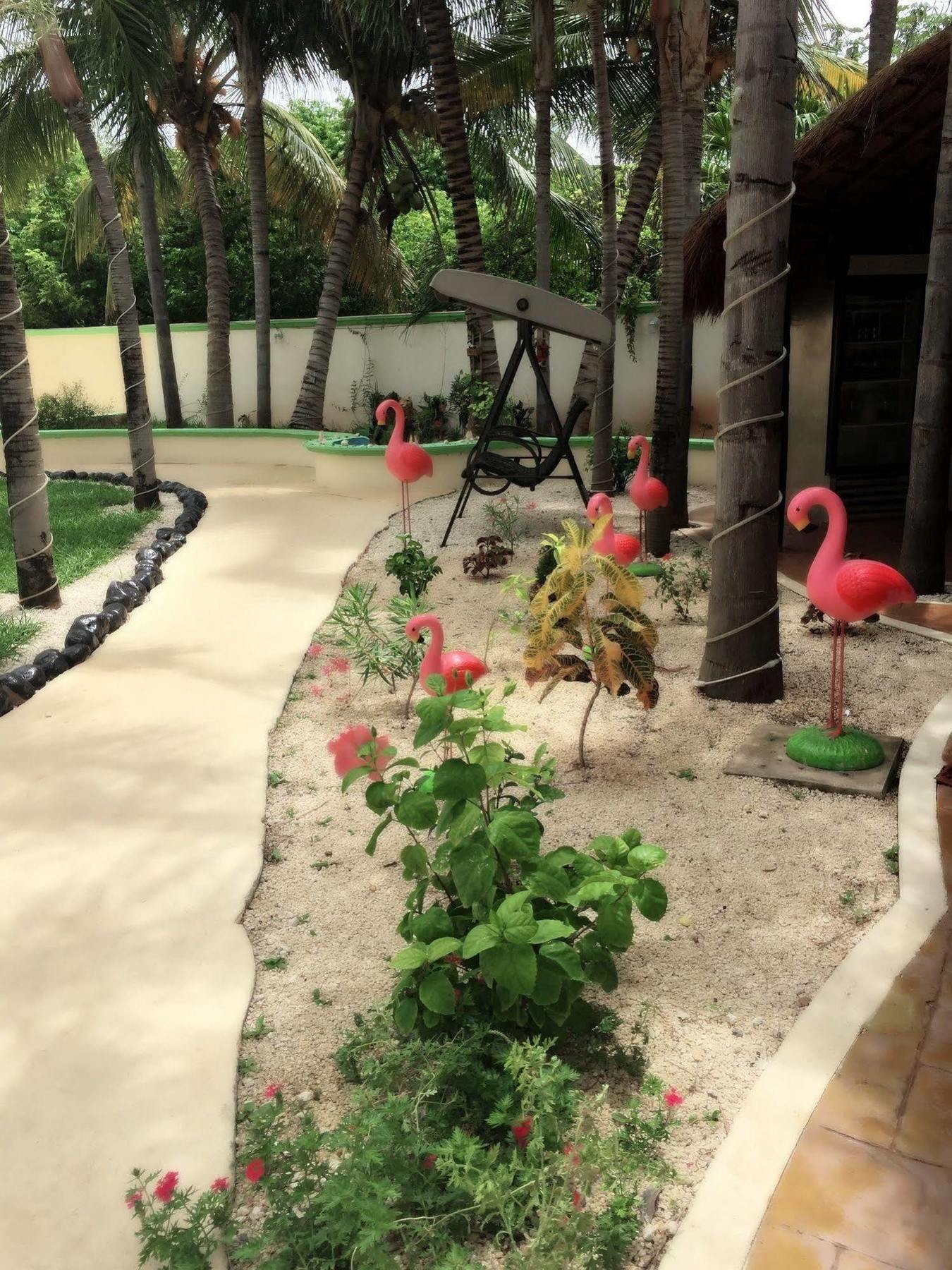 Coco - (adults Only) Hotel 3*