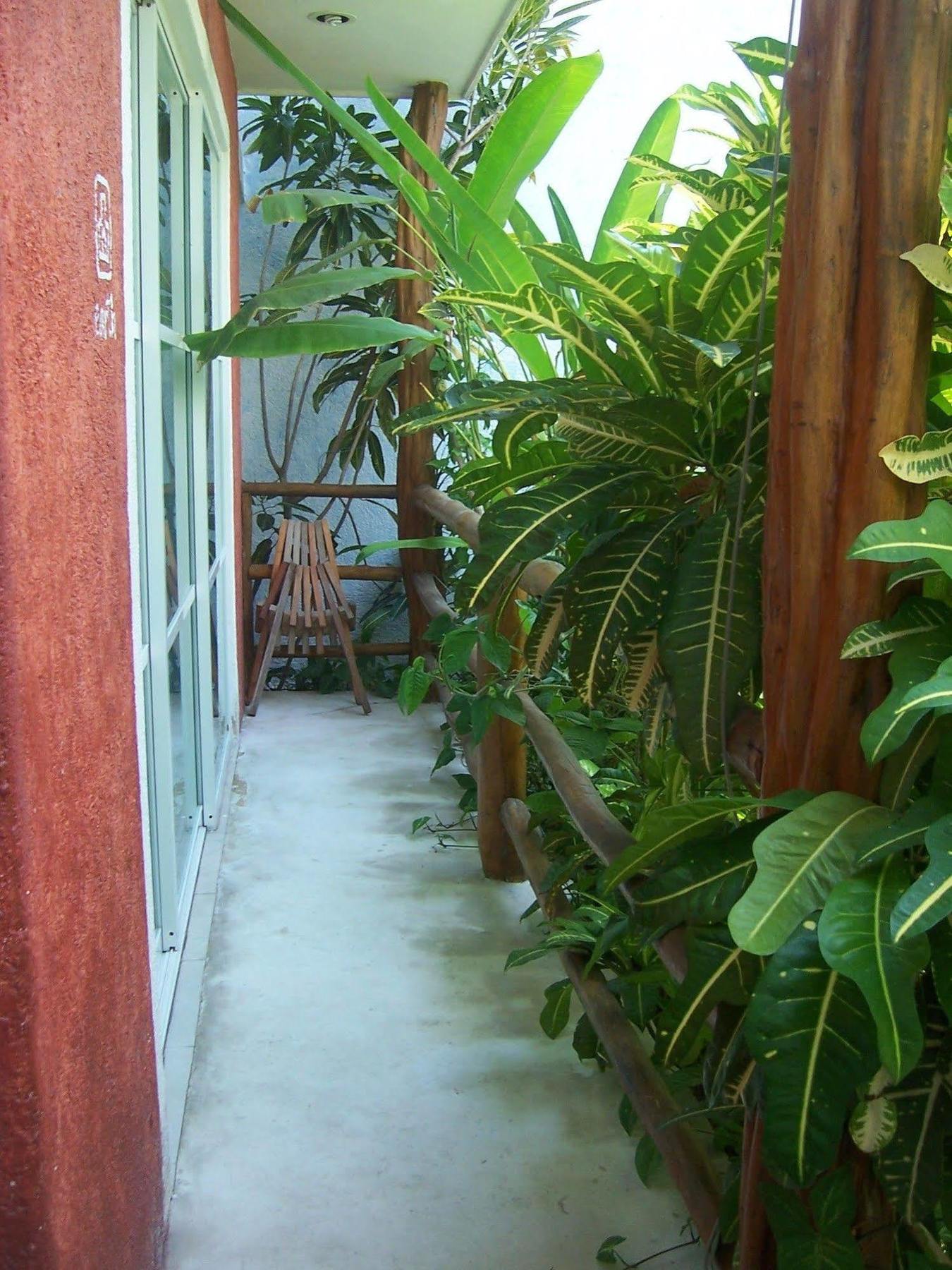 Apartment Elements Of The Island Isla Mujeres