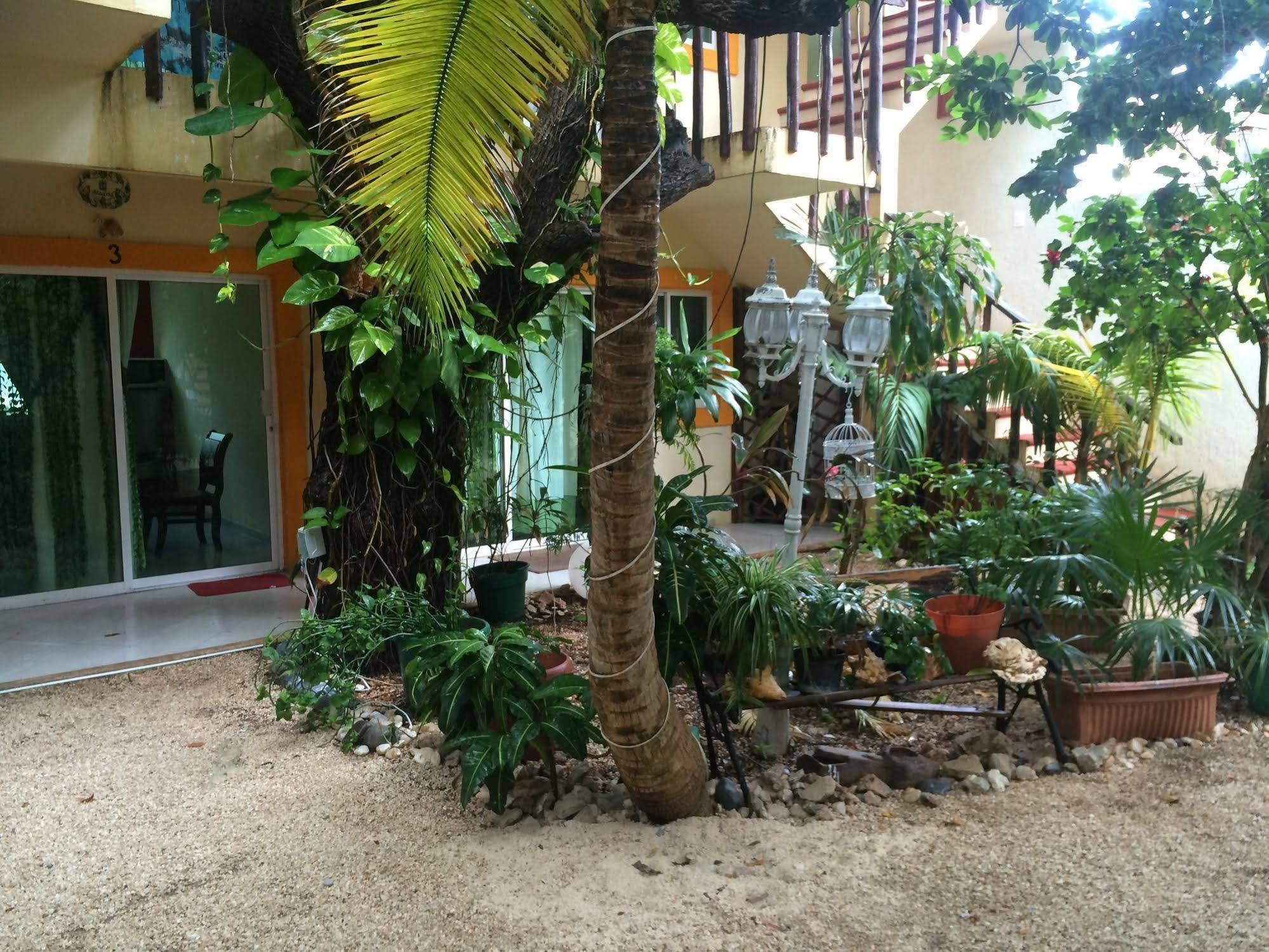 Caracol Hotel Isla Mujeres