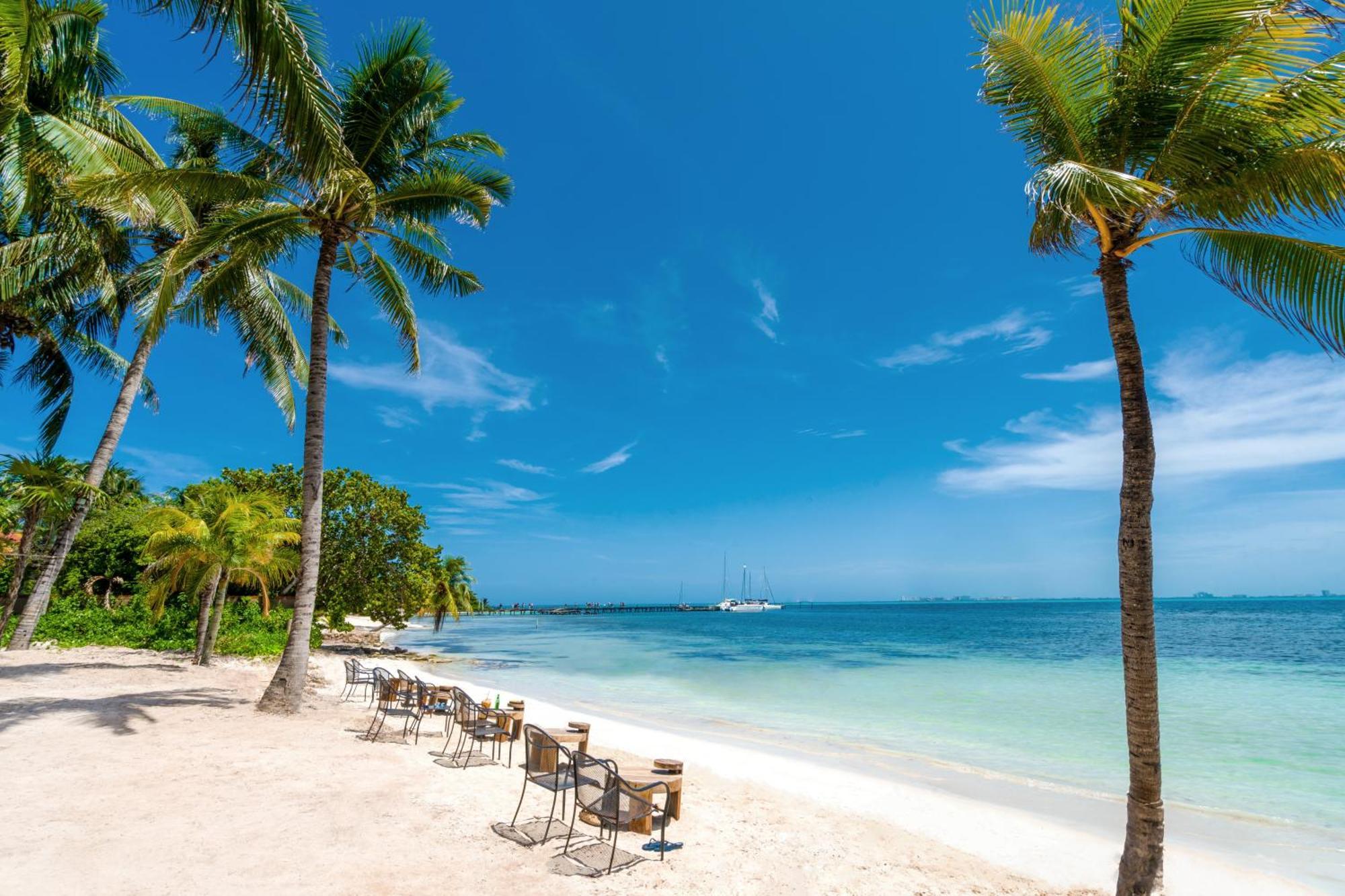 Mayan Monkey - Social (adults Only) 4* Isla Mujeres