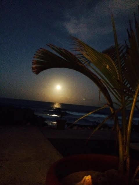 Aparthotel Luna D' Miel Isla Mujeres